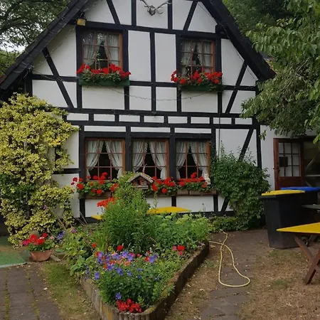 Appartement Eulennest Rursee
